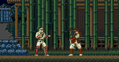 The Revenge of Shinobi / The Super Shinobi - The Revenge of Shinobi / The Super Shinobi