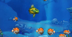 Feeding Frenzy - Feeding Frenzy