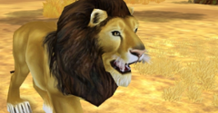 Zoo Tycoon 2 - Zoo Tycoon 2