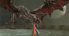 Castlevania: Curse of Darkness - Castlevania: Curse of Darkness