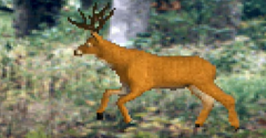 Deer Hunting USA - Deer Hunting USA