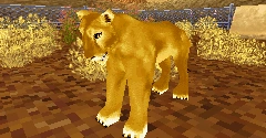 Zoo Tycoon DS 2 - Zoo Tycoon DS 2