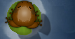 Pocket Frogs - Pocket Frogs