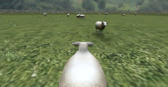 CrazyCattle3D - CrazyCattle3D