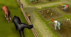 Family Farm - Family Farm