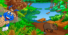 Let's Explore the Jungle - Let's Explore the Jungle