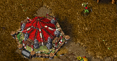 Warcraft III: Reign of Chaos + The Frozen Throne - Warcraft III: Reign of Chaos + The Frozen Throne