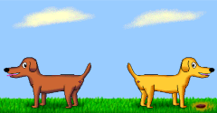 When Two Dogs Meet - When Two Dogs Meet
