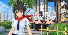 Senran Kagura: New Link - Senran Kagura: New Link