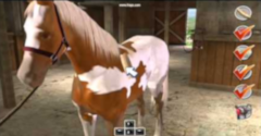 Time To Ride: Saddles And Stables - Time To Ride: Saddles And Stables