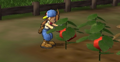 Harvest Moon: Save The Homeland - Harvest Moon: Save The Homeland