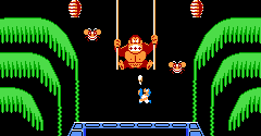 Donkey Kong 3 - Donkey Kong 3